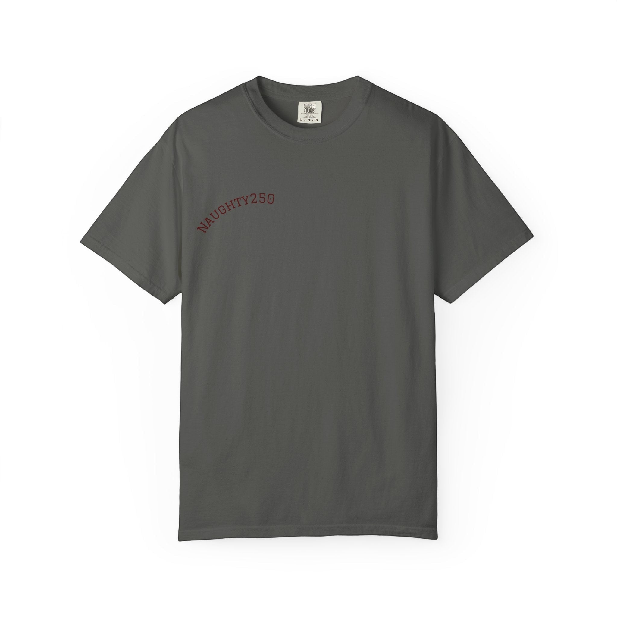 Naughty250 charcoal grey heavyweight cotton t-shirt with "Still Shooting 250 America – Loads of Freedom" graphic on back.