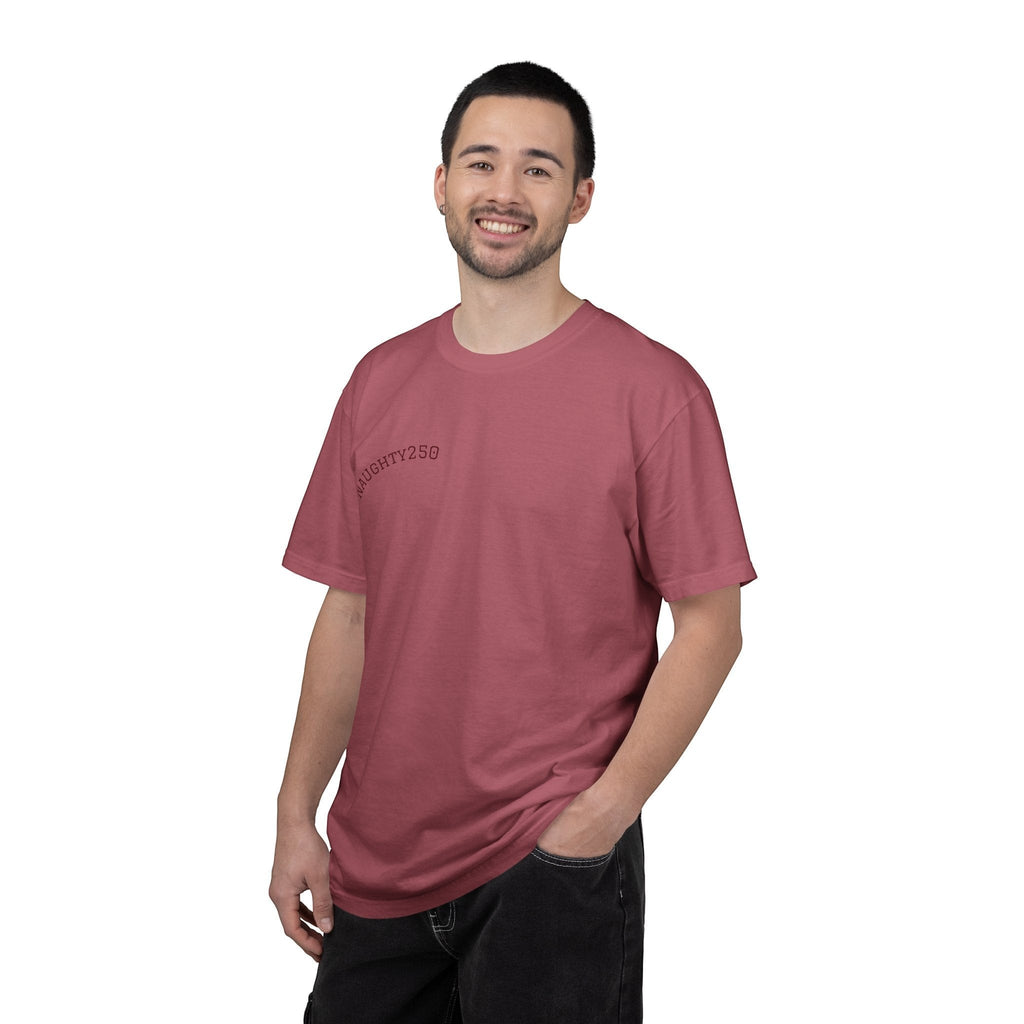 Naughty250 vintage patriotic graphic tee in faded red, heavyweight cotton with relaxed fit.
