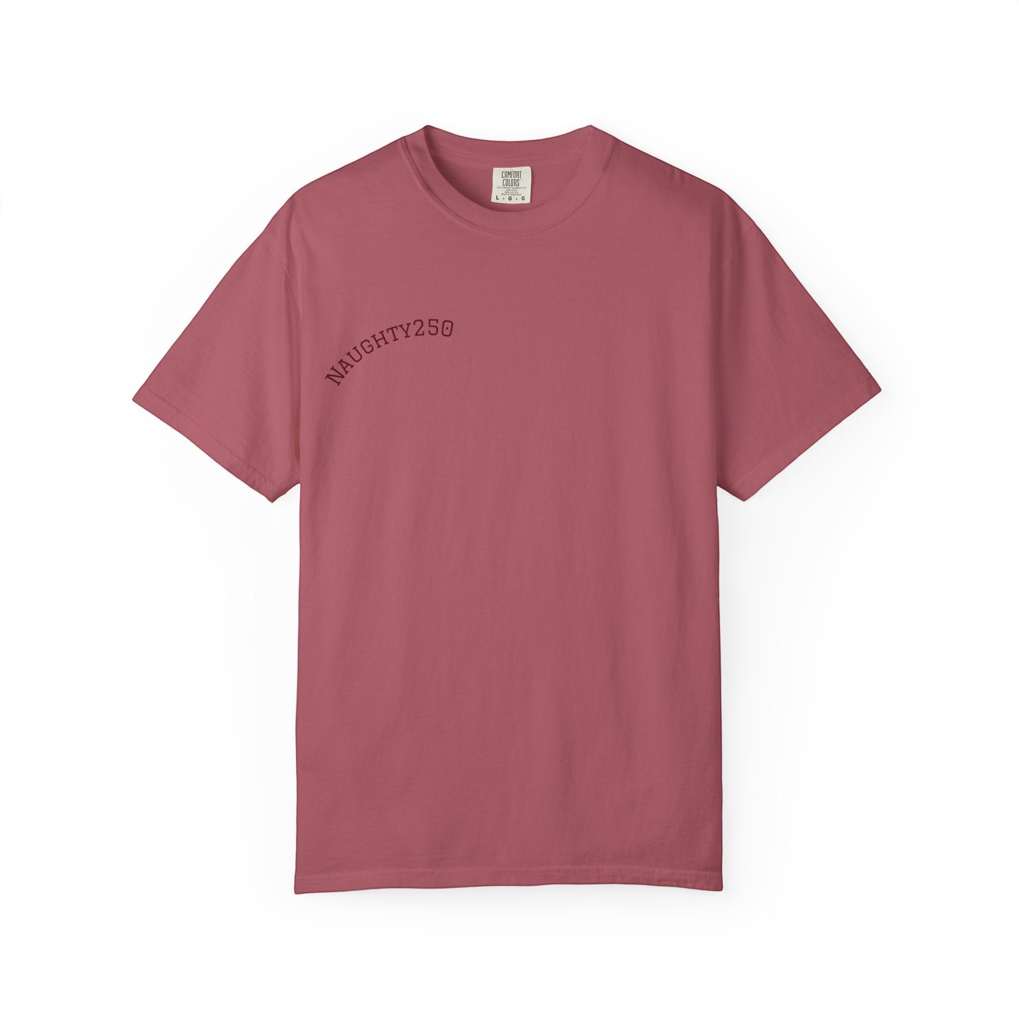 Naughty250 vintage patriotic tee in dusty rose heavyweight cotton with embroidered text on chest.